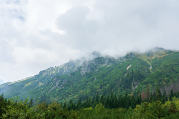 Fototapeta na wymiar Thick fog over the Tatra mountains in summer