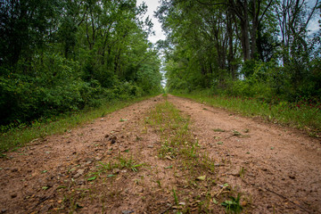 Fototapeta premium Pathway on the Country Road