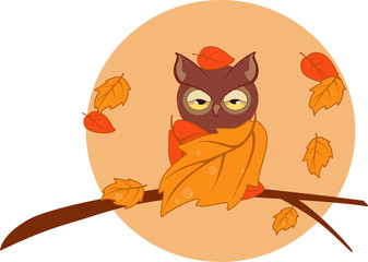 Owl sitting on a branch in autumn
