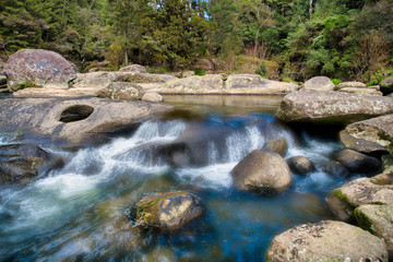 Dreamy McLaren Falls in thick New Zealand native bush with the water rushing over the rocks