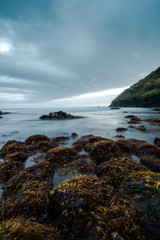 Otago coast