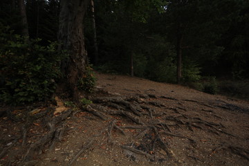 Being away from the city and spending time in nature.