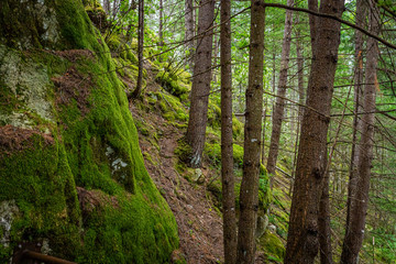 North Cascades National Park