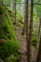 North Cascades National Park