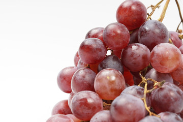 Bunch of red grape 