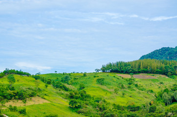 Green hill landscape of Thailand