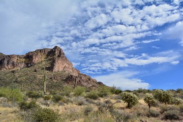 Fototapeta na wymiar Gold Canyon Arizona Desert Superstition Mountains