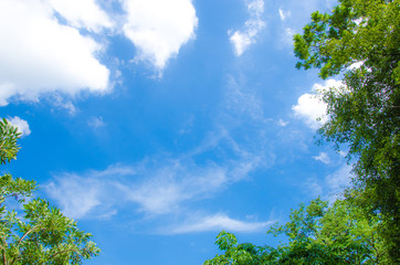 Leaf frame on blue sky background