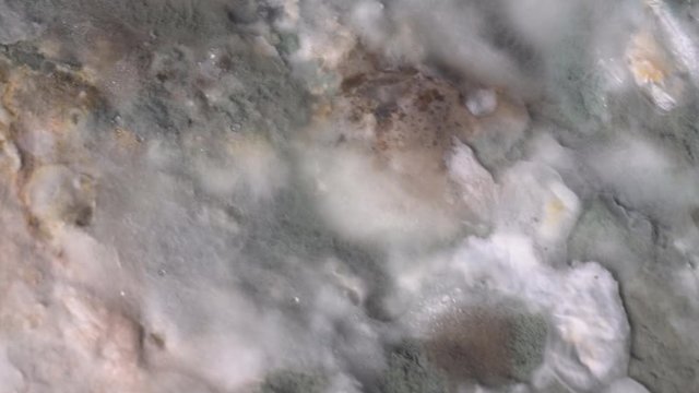 Penicillin and aspergillum mold on bread. Colonies of different species of mold fungi, mostly young (white and fluffy), yellow aspergillus flavus, green - penicillum. Spoilage of products saprophytes