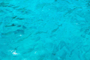 clear water on the beach.