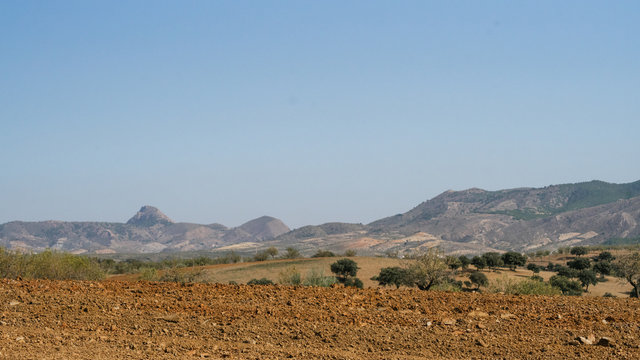 Campo andaluz labrado