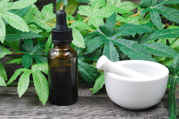 Bottle of CBD Oil with mortar and pestle, with leaves and wood in background