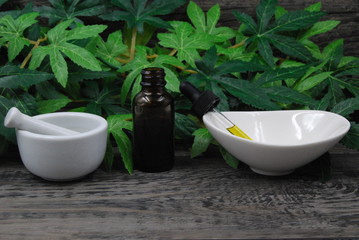 CBD oil in open bottle with dish andmortar and pestle amongst leaves on wood