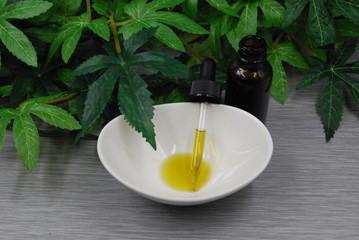 Overhead view of a dose of CBD Oil on Gray Table with leaves and bottle