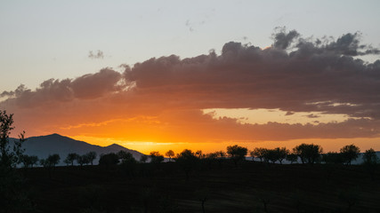 Fototapeta premium Atardecer en el campo de Almeria con nubes naranjas