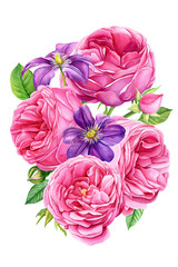 bouqubouquet beautiful flowers, clematis, pink roses,et beautiful flowers, clematis, pink roses, buds and leaves on isolated white background, watercolor illustration, botanical painting, hand drawing