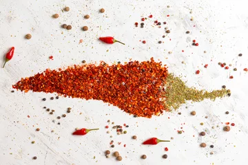 Deurstickers Chili pepper made of spices on light background © Pixel-Shot