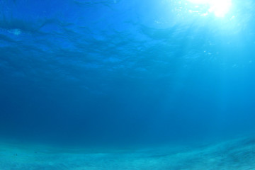 Fototapeta na wymiar Underwater photo of blue ocean, sunbeams and sandy sea floor