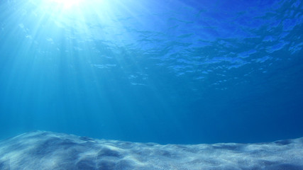 Fototapeta na wymiar Underwater photo of blue ocean, sunbeams and sandy sea floor