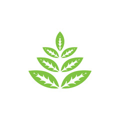 triangle leaves petals symbol vector