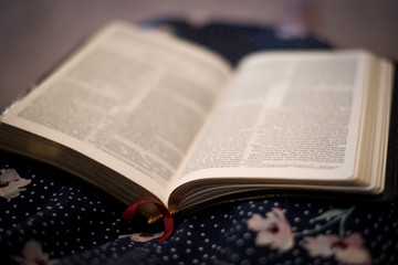 Obraz premium Reading the Bible 