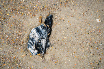 Seashells by the seaside