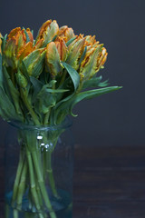 Still life Bouquet of yellow unblown tulips in a glass vase on a dark background, selective focus