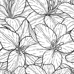 seamless pattern, beautiful monochrome black and white lily. Hand-drawn. design greeting card and invitation of the wedding, birthday, Valentine s Day, mother s day and other holiday