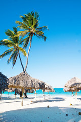 beautiful solar beach