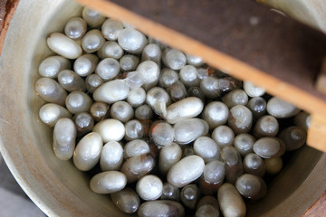 white silkworm cocoons in pot, The process of making silk
