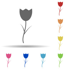 Tulip in multi color style icon. Simple glyph, flat vector of web icons for ui and ux, website or mobile application