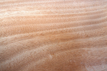 Beautiful old rustic natural grunge brown wood texture free background surface pattern.