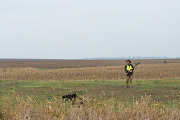 Hunting period, autumn season open. A hunter with a gun in his hands in hunting clothes in the autumn forest in search of a trophy. A man stands with weapons and hunting dogs tracking down the game.