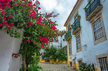 building of the old city with flowers. Obidos, Portugal. 