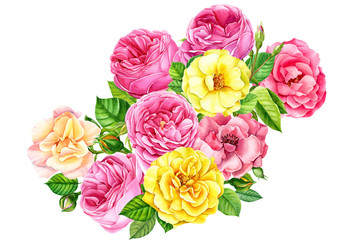 beautiful bouquet of yellow and pink roses on white background, watercolor illustration, flora design, botanical painting