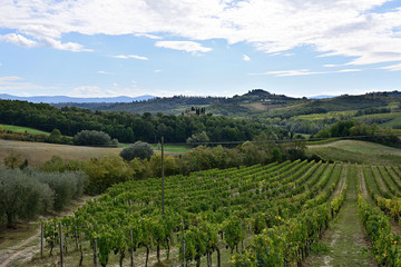 Tuscany wine country 
