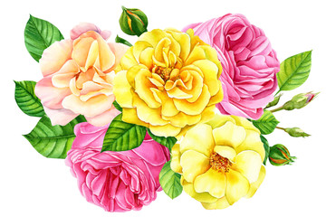 beautiful bouquet of yellow and pink roses on white background, watercolor illustration, flora design, botanical painting