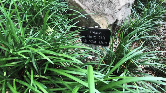 Keep Off Grass Sign, Botanical Gardens Mt Coot-Tha Brisbane