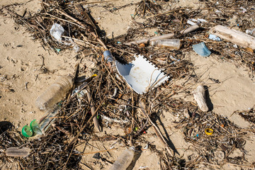 海洋プラスチック