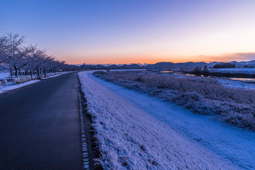 Obraz premium 桜並木、夕暮れの雪のトンネル
