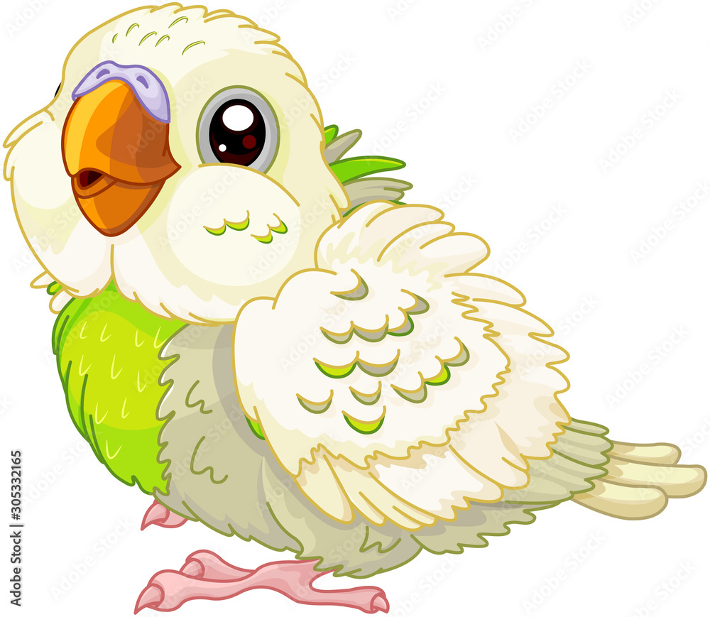 Sticker baby budgerigar