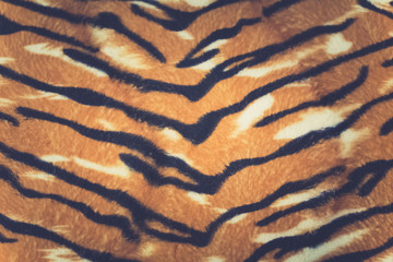 artificial tiger skin pattern © pandaclub23