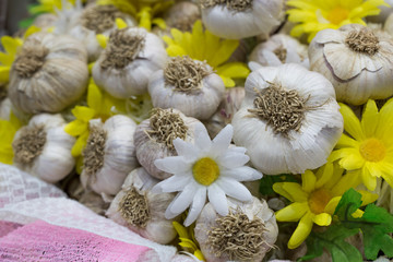 Fototapeta na wymiar Organic garlics in the bowl with Flowers