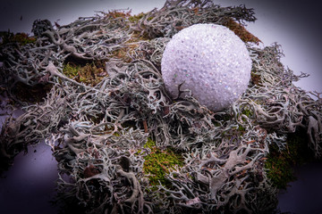 Moss green and grey plant bush with shiny ball vignette