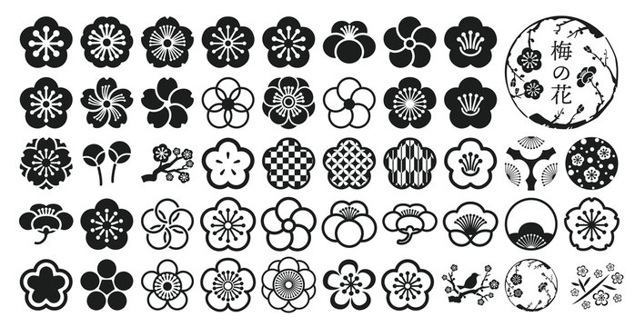 梅の花 Images Browse 843 Stock Photos Vectors And Video Adobe Stock