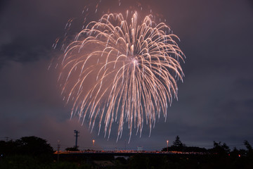 Japanese fireworks display