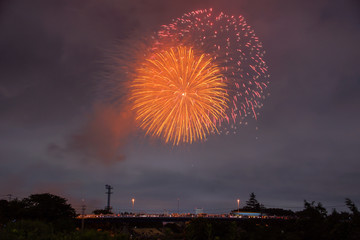 Japanese fireworks display