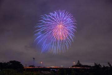 Japanese fireworks display