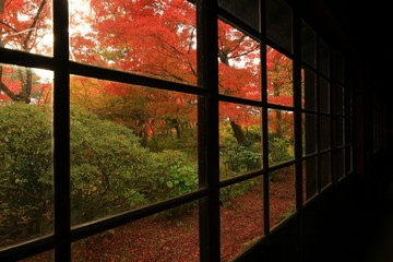 紅葉の一ノ倉邸