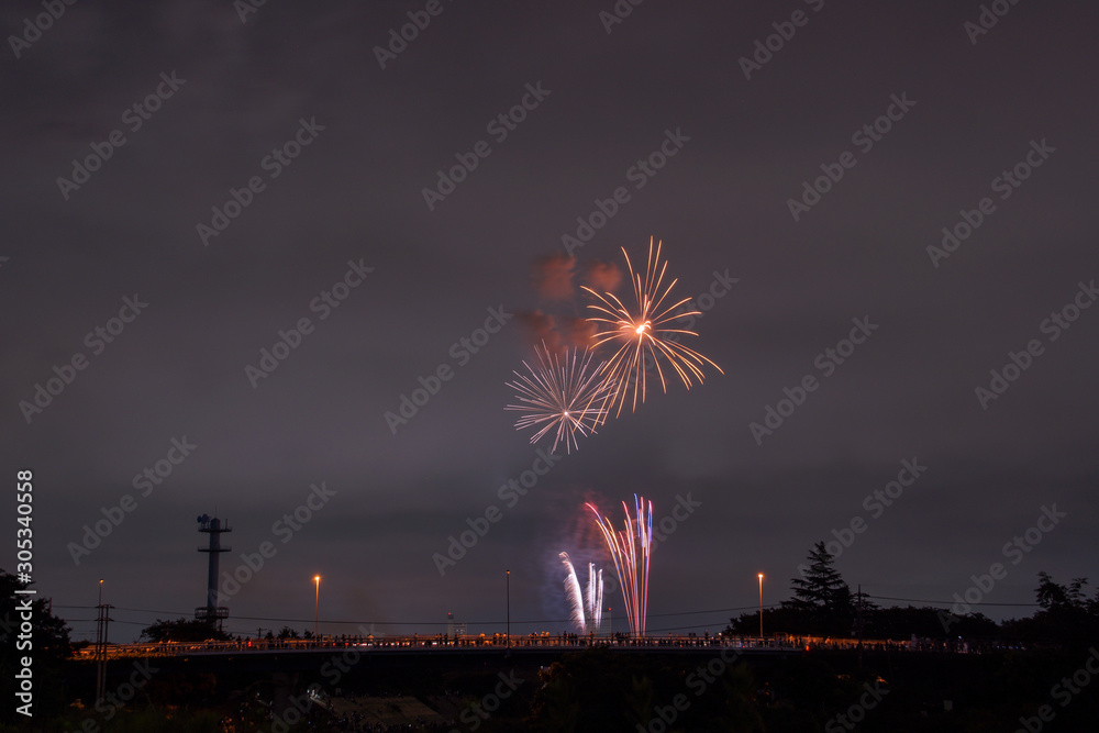 Wall mural japanese fireworks display